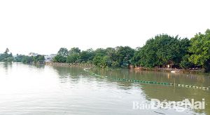 建设公园和巩固同奈岸