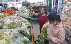 寻找越南货品于Covid-19病毒