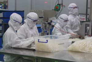 工业都市- 海港服务