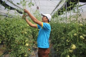 多种优惠农村、农业政策