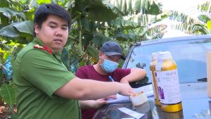 加强处理违犯安全食品行为