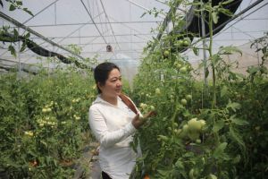 多提案于生产农业