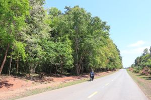 同奈组土地做safari区
