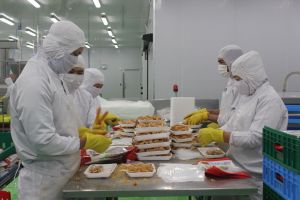 同奈生产50组产品