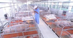 企业自信提供世界市场的严肃条件