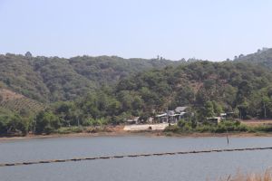 提议交土地，组土地预4类预案