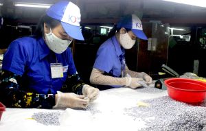 工业区的FDI企业努力扩大销售市场