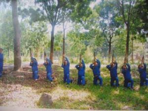 Militia’s People Mobilization Affairs: Quality and Efficiency