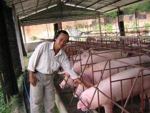 First Half of 2011: Loans Worth VND144 Billion (or US$6.93 million) Made to Social Programs