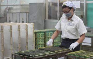 FDI资金大协助工业行
