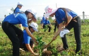 Nhon Trach Youth Are Eager to Join in Green Summer Campaign 2011