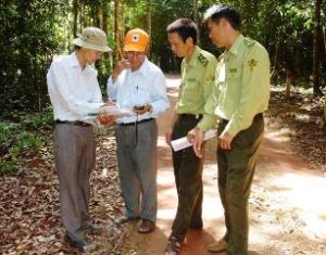 180 cases of forest protection and development law infringement in the first 6 months