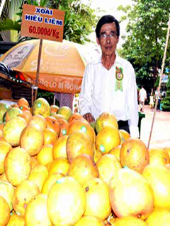 Predestined life with mango