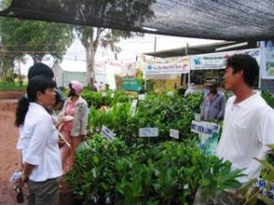 Strengthen the program of mutual supports and rural infrastructure construction