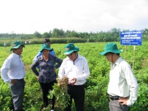 In the first 6 months, opening 578 training classes of agricultural encouragement in technological and scientific transfer