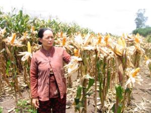 Xuan Dinh: a typical model of new rural construction