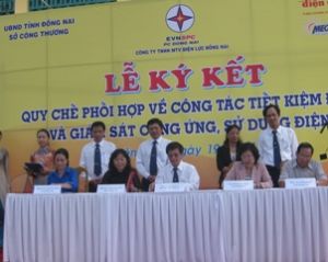 Striving to Make Dong Nai a Leading Province in Energy Efficiency