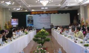 Little Investment Capital Attracted in First Half of 2011