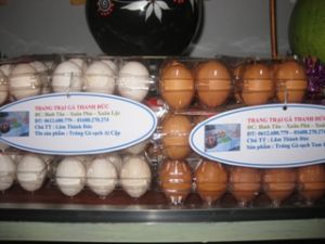 Thanh Duc Chicken Farm to Supply 14 Million Price-Stabilized Eggs