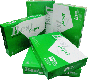 Dong Nai Paper Industry Takes up 30 Percent of Domestic Paper Market