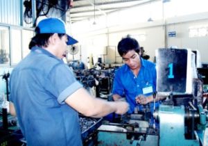 Dong Nai Supporting Industry: both insufficient and weak