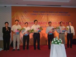 Dong Nai Power Company: 260 customers attended its 2011 customer conference