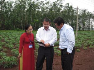 Conference to Promote Japanese Investment in Dong Nai Encourages Investors into High-Tech Industries