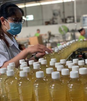 饮料企业：努力恢复生产