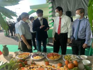 同奈组织出口调料农产典礼2022年