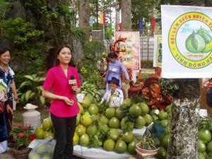 The contest of making a short film about land– people of Dong Nai