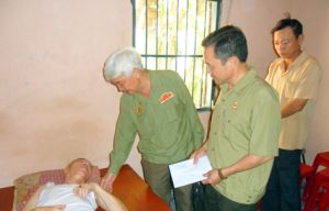 The Party of Long Binh Tan ward (Bien Hoa City): Implementing specific tasks following Uncle Ho.