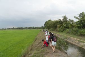 新福县提高地方优势农业产品的质量