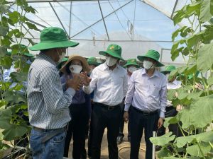 快速发展经济社会的多建议问题