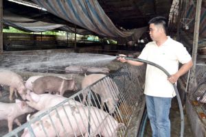 Solutions for livestock industry to overcome difficulties
