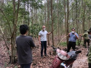 New Forest基金互助同奈稳定发展森林