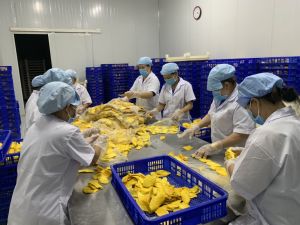 需要稳定互助发展农业政策