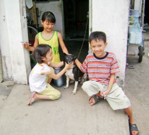 Infection from animals to human: should not be underestimated