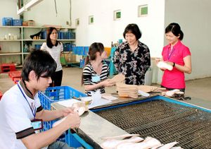 Enhancing the implementation of Labor Law in reality