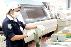 Dong Nai to accelerate FDI before integration