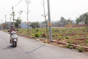 Dong Nai to attract Japanese businesses