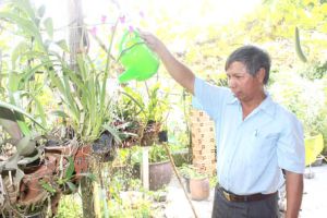 Planning project to protect Hiep Hoa isle - the “Green Lung” of the city