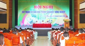Dong Nai to hold a national conference on agriculture mechanization