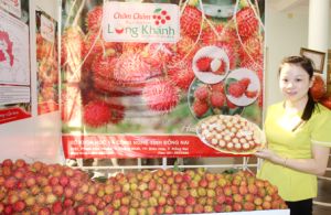 Fruits took the lead in export