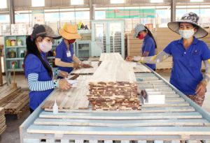 Take advantages from FTA