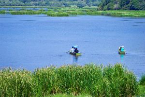 Dong Nai forest eco-tourism: high potentials to be exploited