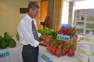Pioneer farmer to grow Red Dragon Fruit in Dong Nai