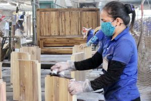 Expectation from the largest export market