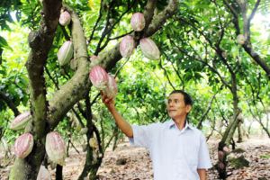 Agricultural restructuring