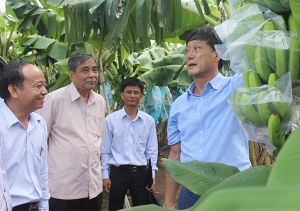 Speeding up Agropark project