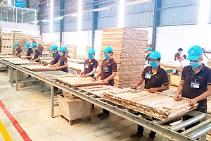 Export flourishes at the end of the year